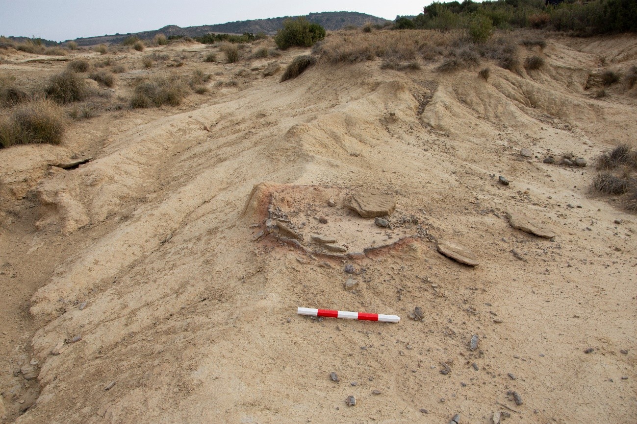 alto de las cañas 3