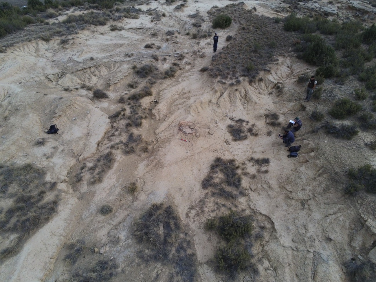 alto de las cañas 4