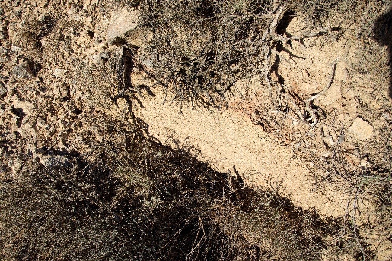 barranco de tudela 4