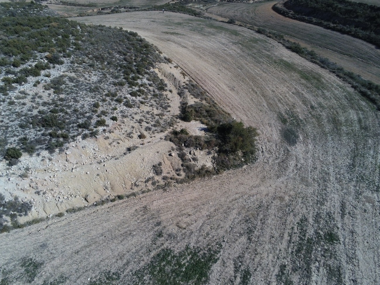 el moscardon ii 3