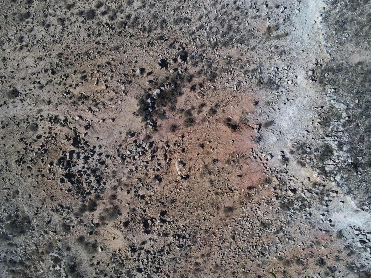 la futura 3