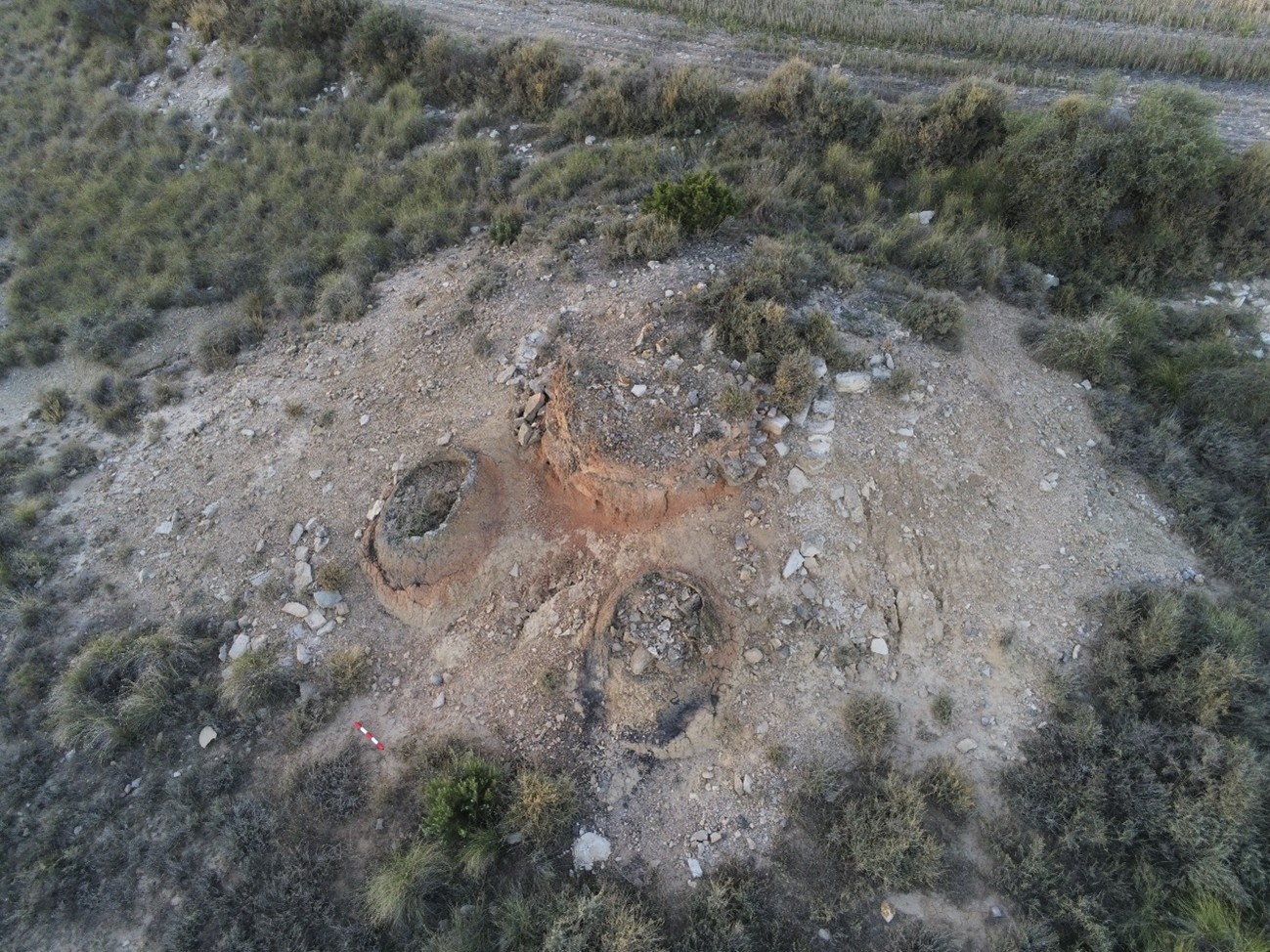 malrapate viii 3