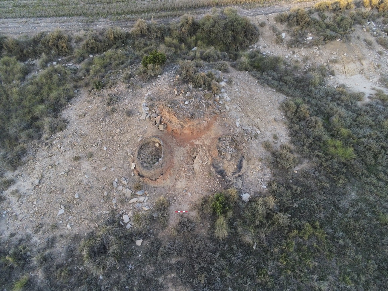 malrapate viii 4